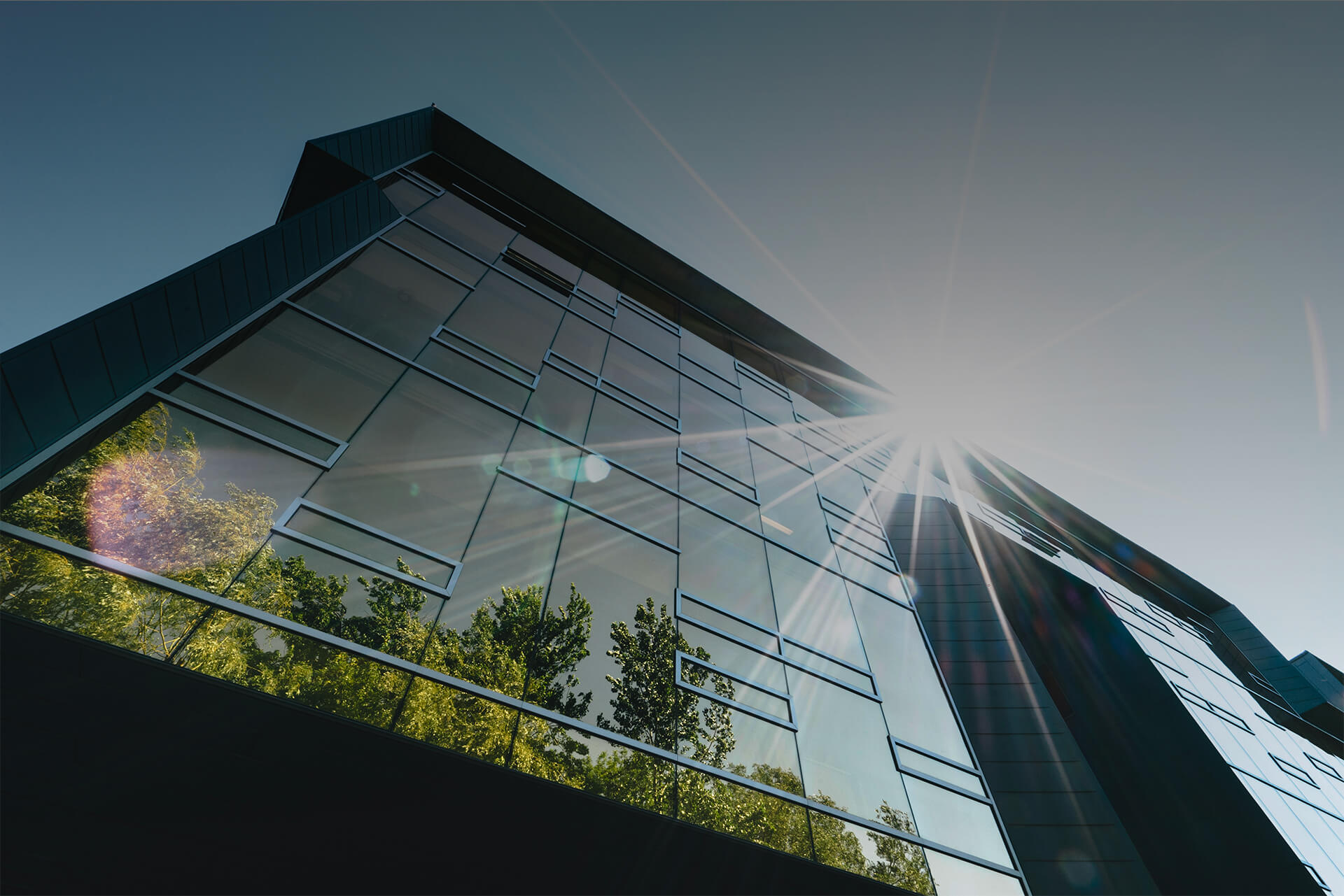Company Building